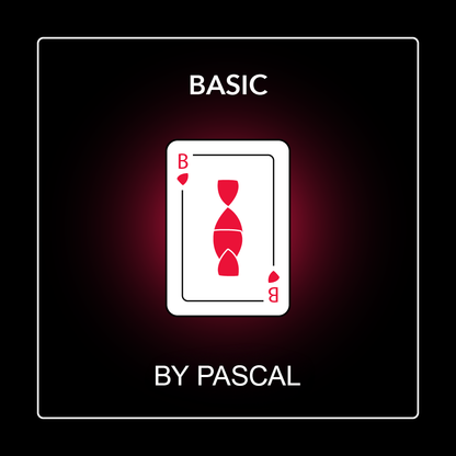 Basic Coaching by Pascal Ferreira